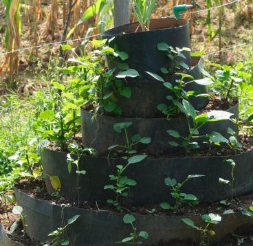 Beekeeping2.1