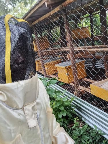 Beekeeping7
